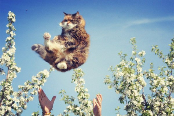 Весенний позитив