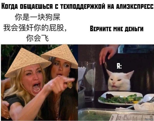 Мем с котов и девушкмаи