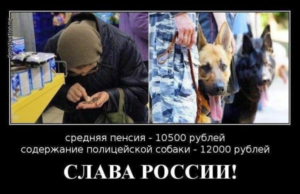 Пенсионеры демотиваторы