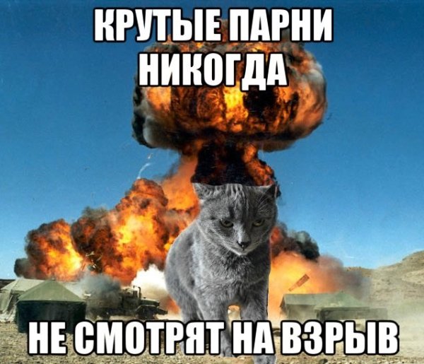 Котик на фоне взрыва