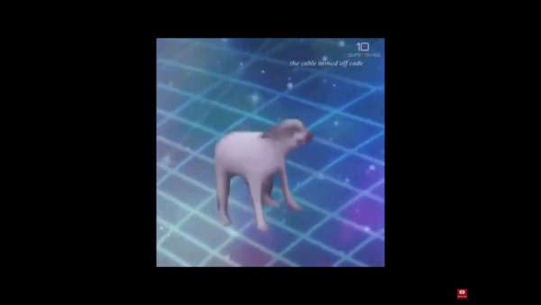 Гифка пес танцует