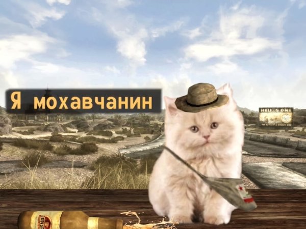 Я русский Мем с котом