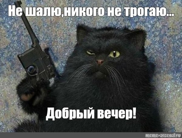 Кот Бегемот