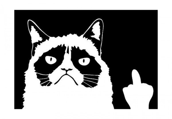 Кот с факом