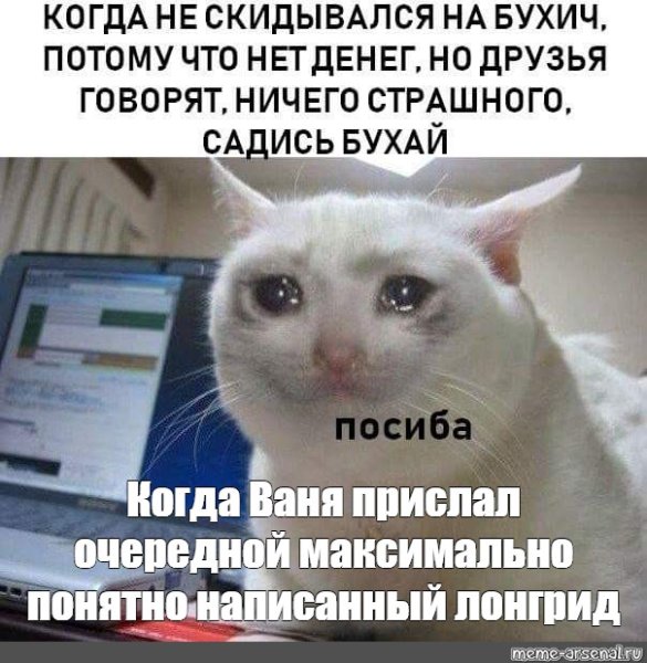 Мемы с котом