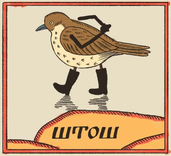 Птица ну штош