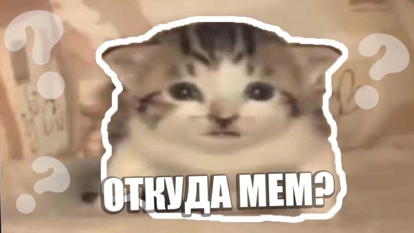 Кот взрыв Мем