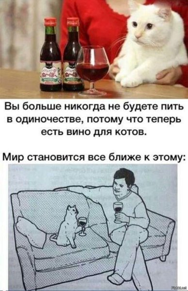 Вино для котов прикол