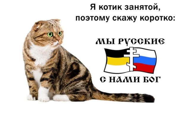 Я русский кот