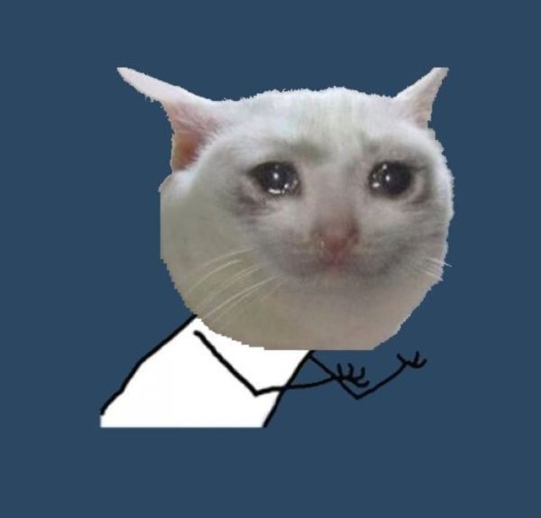 Плачущий кот