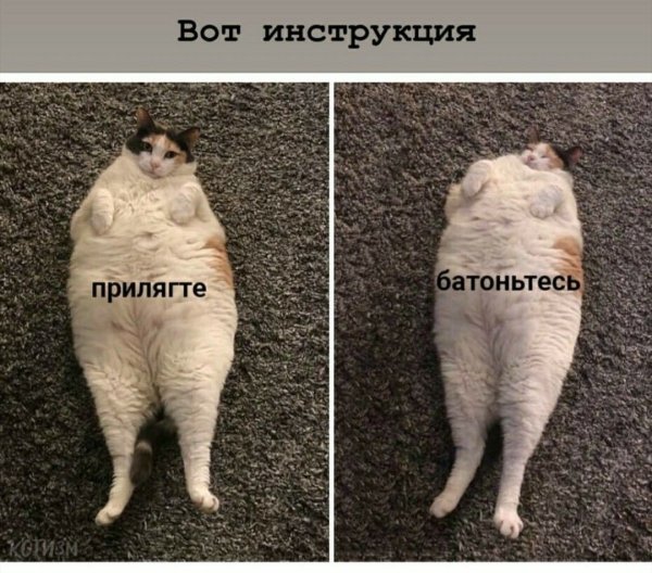 Батониться Мем
