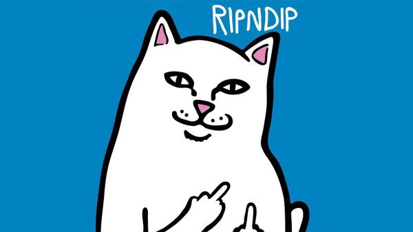 RIPNDIP кот
