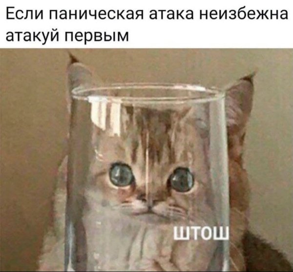 Если паническая атака неизбежна