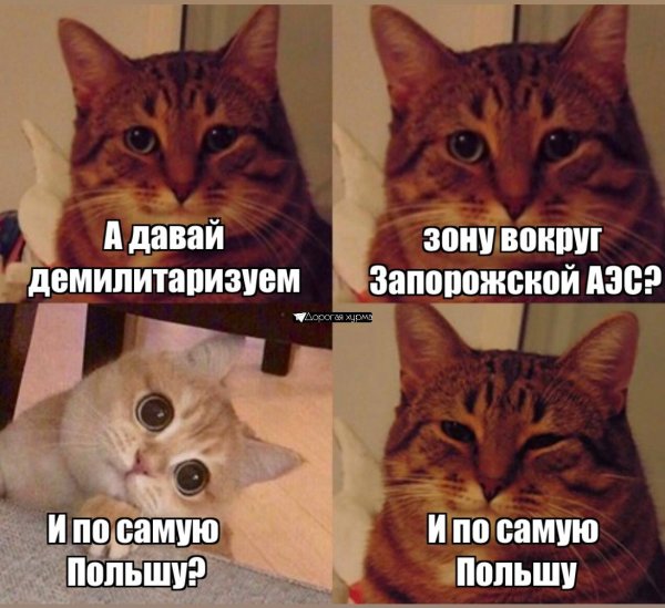Мемыв котиуки