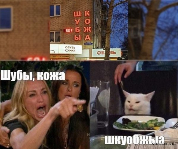 Мемы с двумя девушками и котом