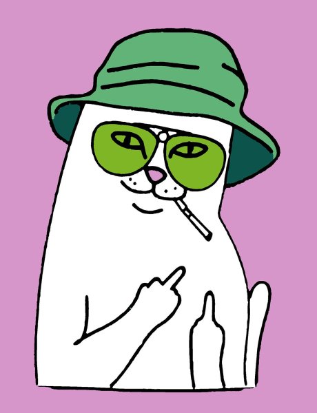 Кот с факом