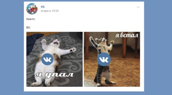 Мем про падение соц сетей