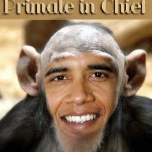 Негр обезьяна