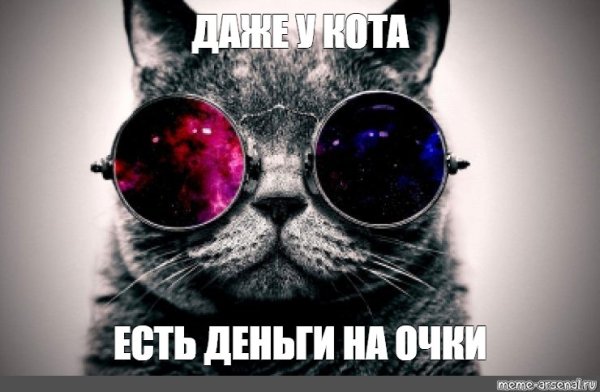 Обои на телефон кот в очках