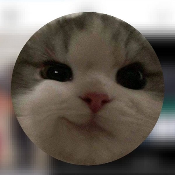 Котик нот хехе