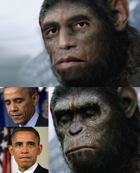 Барак Обама обезьяна