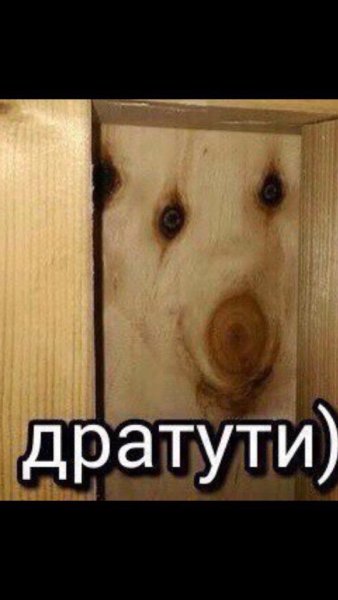 Открытка дратути