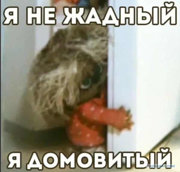 Я домовитый домовёнок Кузя