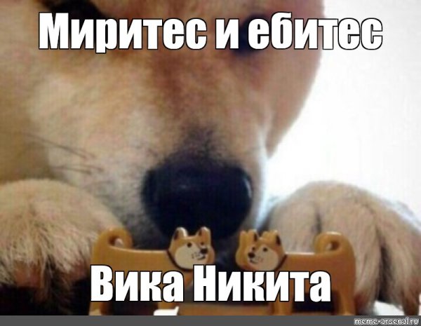 Миритесь Мем с собакой