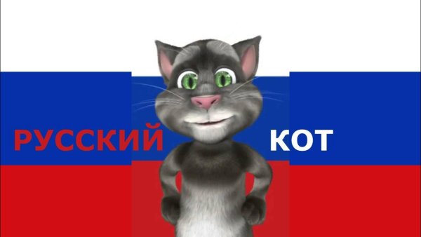 Шлёпа русский кот