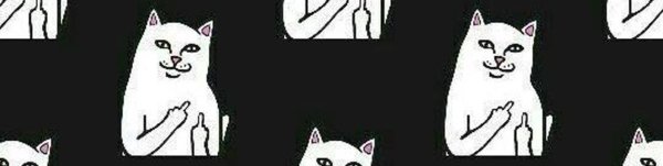 Кот со средним пальцем