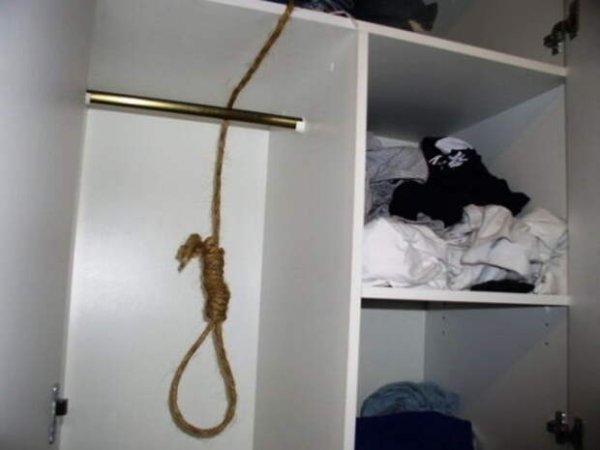 Кот повесился