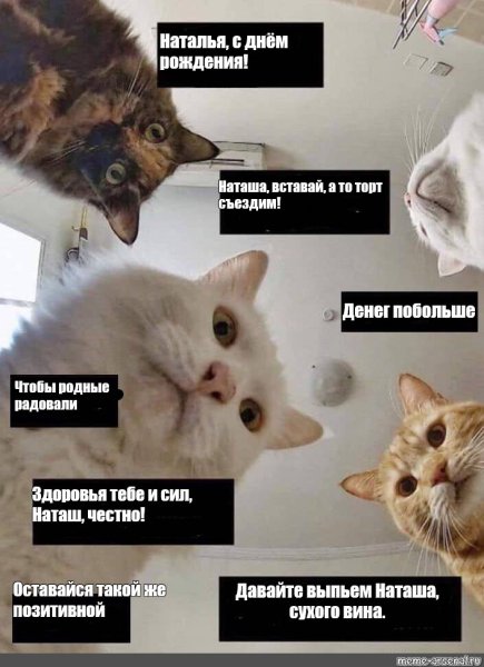 Наташа с днём рождения коты Мем