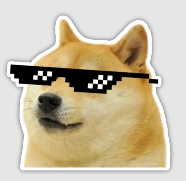 Собака в пиксельных очках