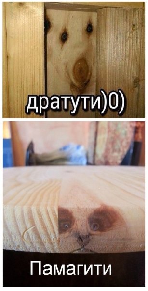 Фанера дратути