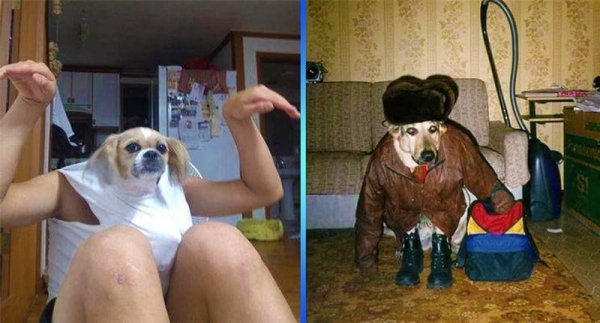 Ржачные фото до слез