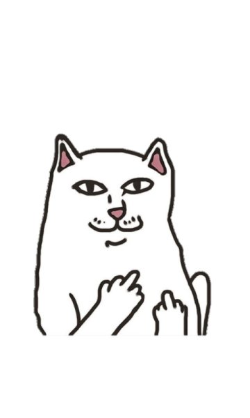 Кот с факом Мем