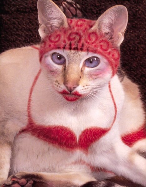 Угарные коты