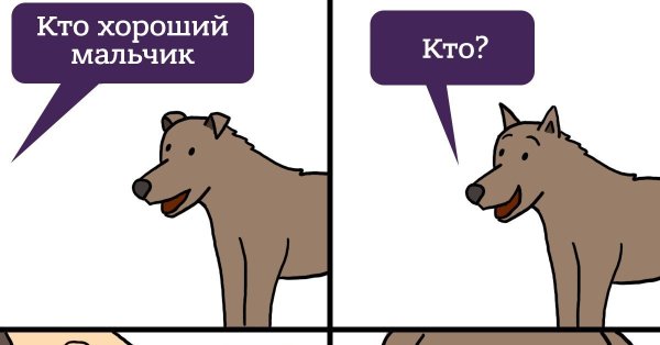 Кто хороший мальчик Мем