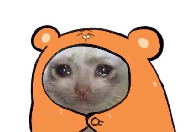 Аватарка котика Мем