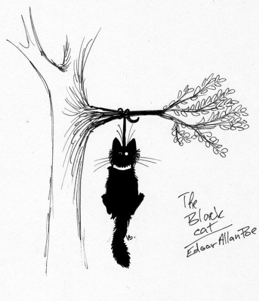 Кот повесился