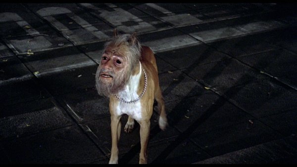 Собака с человеческой головой