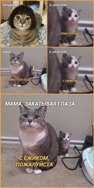 Мем с котами