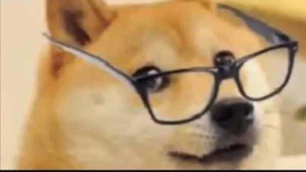 Doge в очках