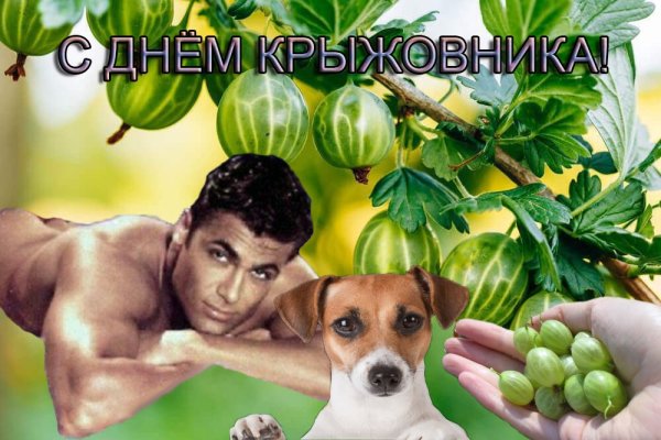 С днем шифера