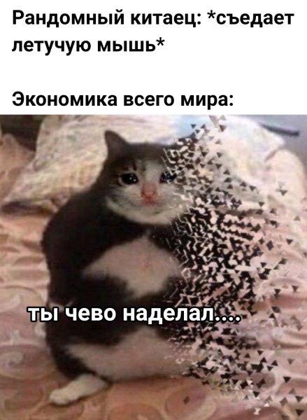 Мемы ты чего наделал