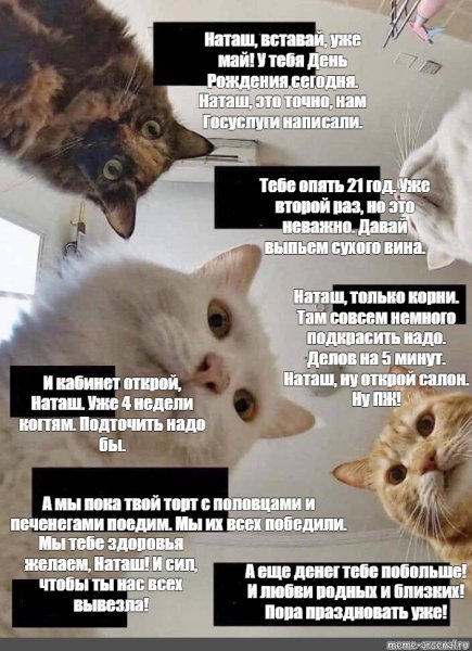 Наташа с днем рождения Мем с котами