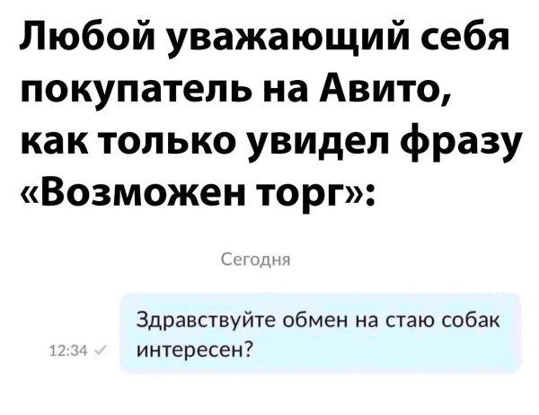 Здравствуйте обмен на стаю собак интересен