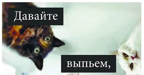 Открытка коты и Наташа