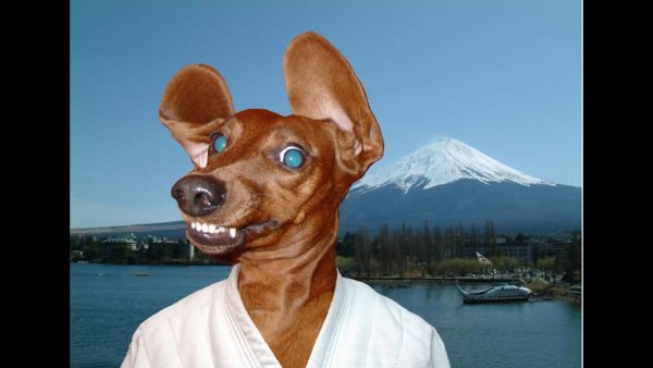 Человек с собакой