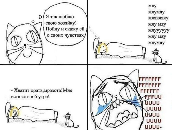 Мемы комиксы про котиков